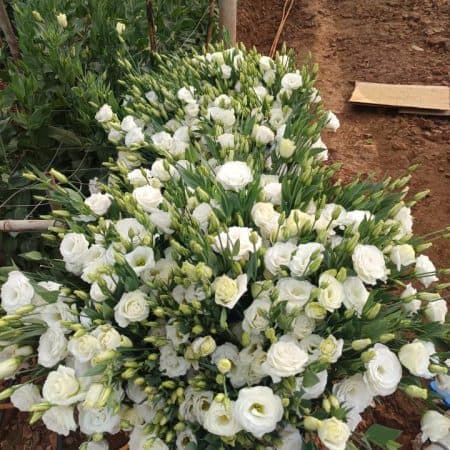Gallery image 21
